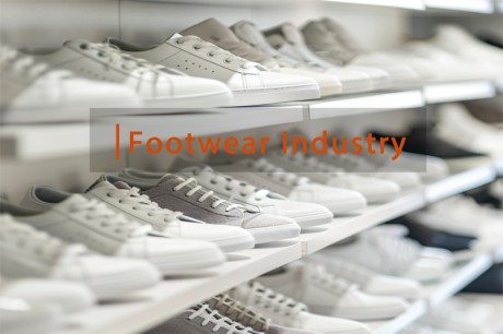 Footwear industry